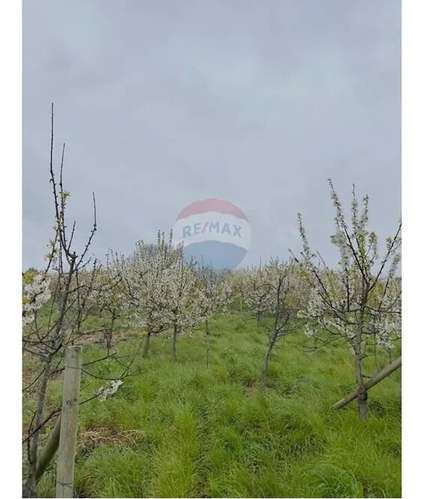 Venta Terreno De 4.8 Hectáreas Sector Centinela - Imagen 12