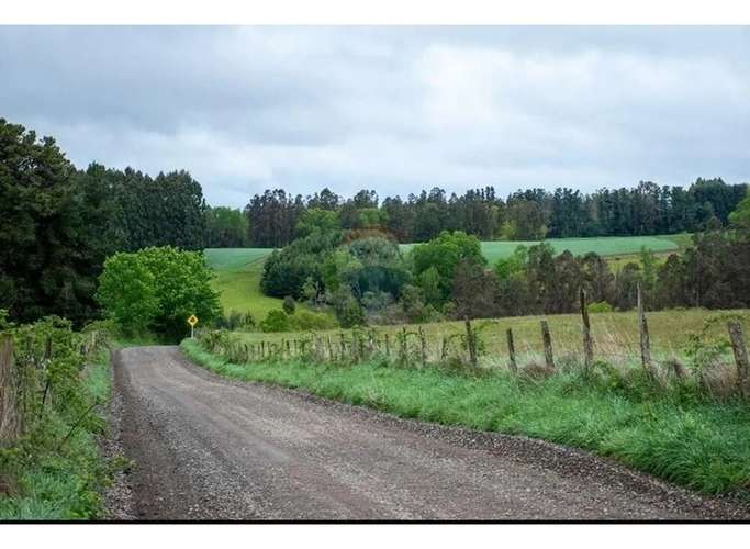 Venta Terreno De 4.8 Hectáreas Sector Centinela - Imagen 19