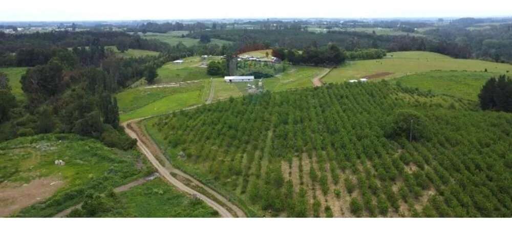 Venta Terreno De 4.8 Hectáreas Sector Centinela