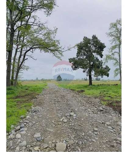 Venta Terreno De 4.8 Hectáreas Sector Centinela - Imagen 10