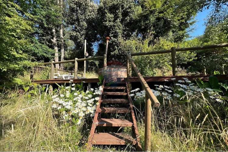 Venta Terreno Con Vista Y Acceso A Lago Pucón - Imagen 17