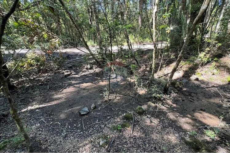 Parcela Con Orilla De Camino Al Volcán, Pucón - Imagen 17