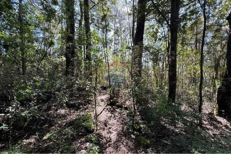 Parcela Con Orilla De Camino Al Volcán, Pucón - Imagen 9