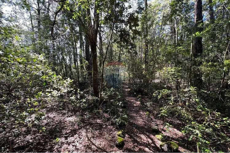 Parcela Con Orilla De Camino Al Volcán, Pucón - Imagen 16
