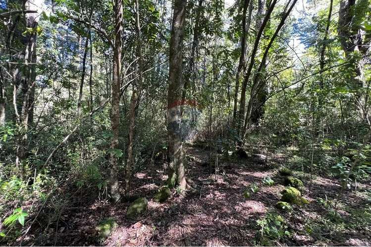 Parcela Con Orilla De Camino Al Volcán, Pucón - Imagen 15