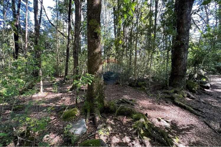 Parcela Con Orilla De Camino Al Volcán, Pucón