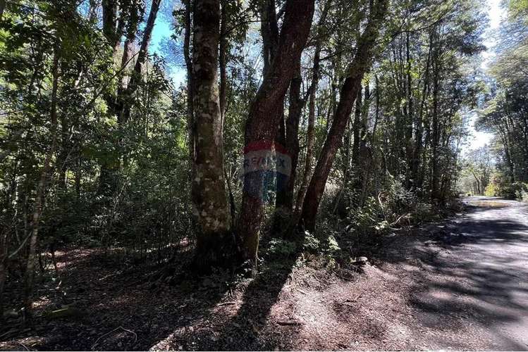 Parcela Con Orilla De Camino Al Volcán, Pucón - Imagen 19