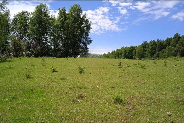 Venta Parcelas En Villarrica - Imagen 2