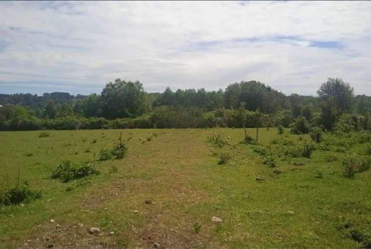 Venta Parcelas En Villarrica - Imagen 13