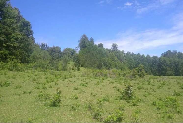 Venta Parcelas En Villarrica - Imagen 9