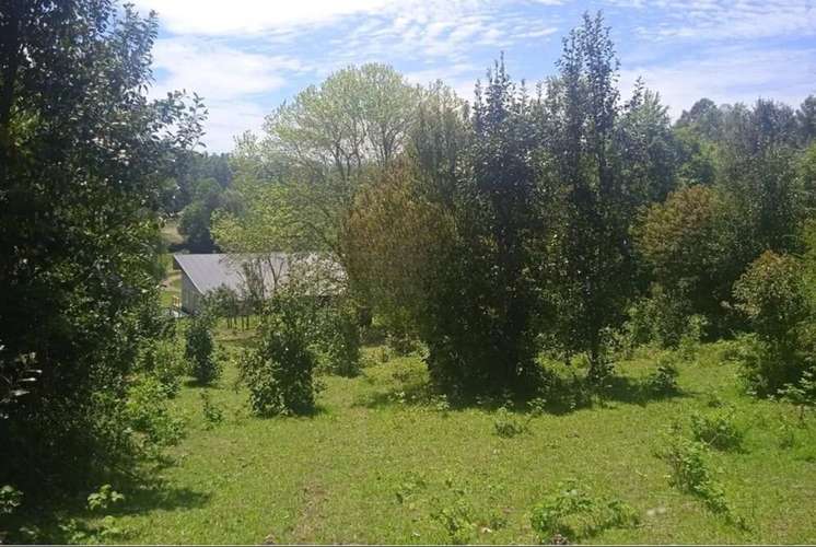 Venta Parcelas En Villarrica - Imagen 19