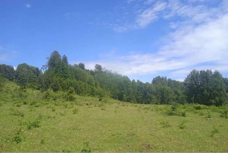 Venta Parcelas En Villarrica - Imagen 18