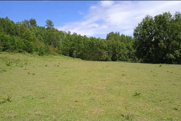 Venta Parcelas En Villarrica - Imagen 4