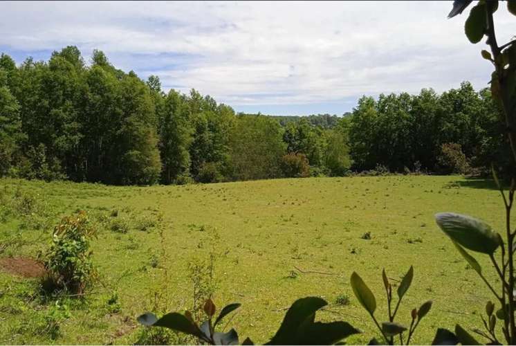 Venta Parcelas En Villarrica - Imagen 6