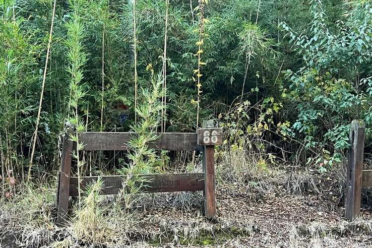Venta Parcela 5.009 M² Cercana Al Río Trancura - Imagen 21