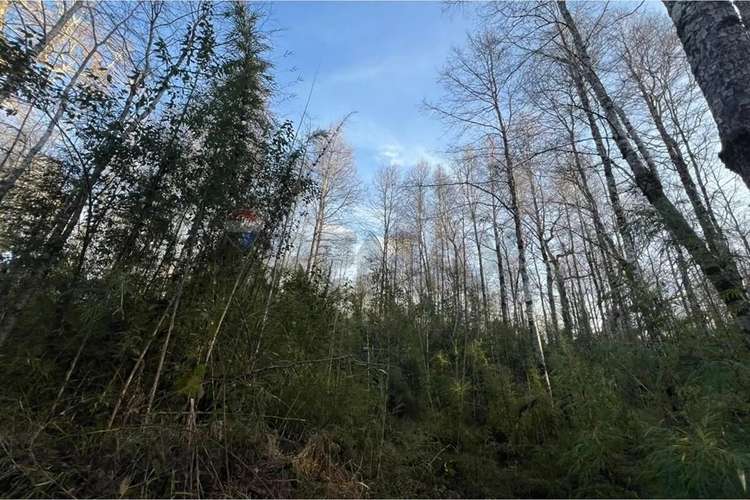 Venta Parcela 5.009 M² Cercana Al Río Trancura - Imagen 5