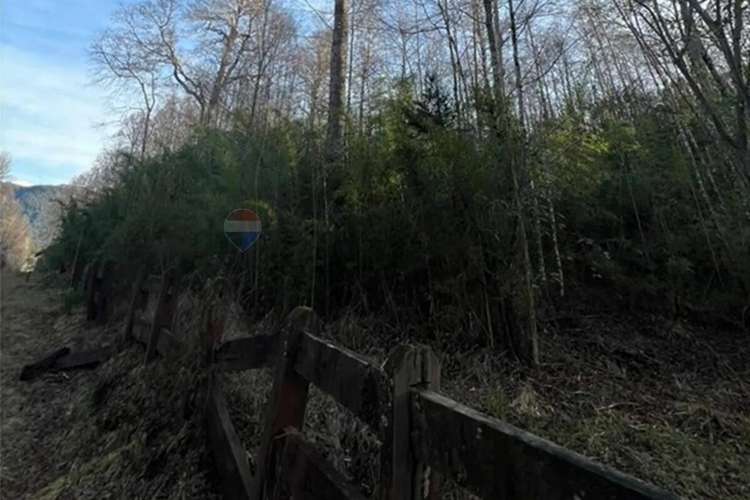 Venta Parcela 5.009 M² Cercana Al Río Trancura - Imagen 8
