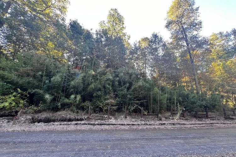 Venta Parcela 5.009 M² Cercana Al Río Trancura - Imagen 12