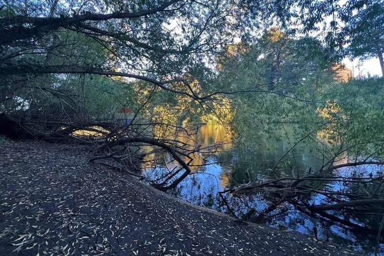 Venta Parcela 5.009 M² Cercana Al Río Trancura - Imagen 20