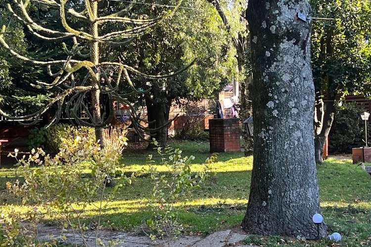 Venta Complejo De Cabañas En Pucón.