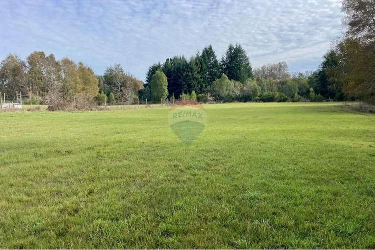 Parcela 5000 Mt2 En Villarrica - Imagen 11