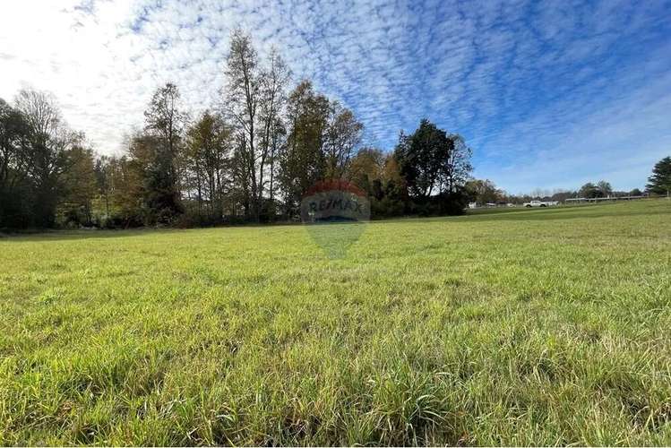 Parcela 5000 Mt2 En Villarrica - Imagen 7