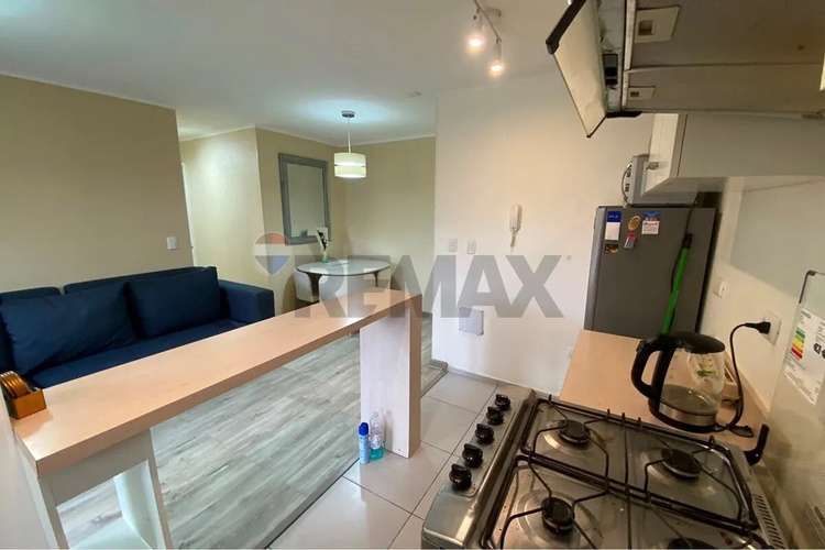 Arriendo Depto Amoblado 3d 1b, Pucón
