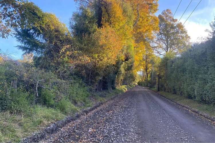 Venta Parcela 5.000 M² En Hacienda Menetúe Pucón - Imagen 21