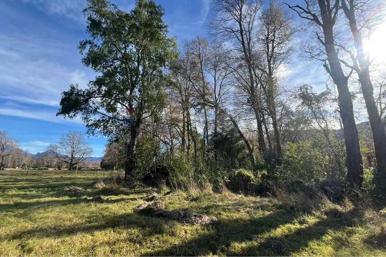 Venta Parcela 5.000 M² En Hacienda Menetúe Pucón - Imagen 14