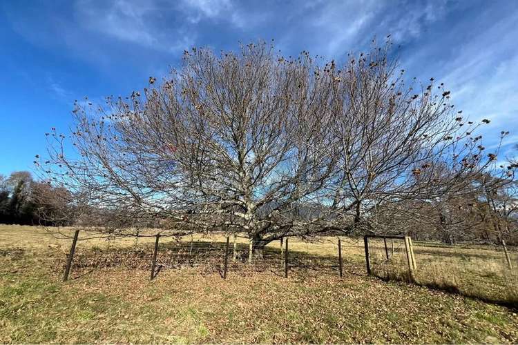 Venta Parcela 5.000 M² En Hacienda Menetúe Pucón - Imagen 13
