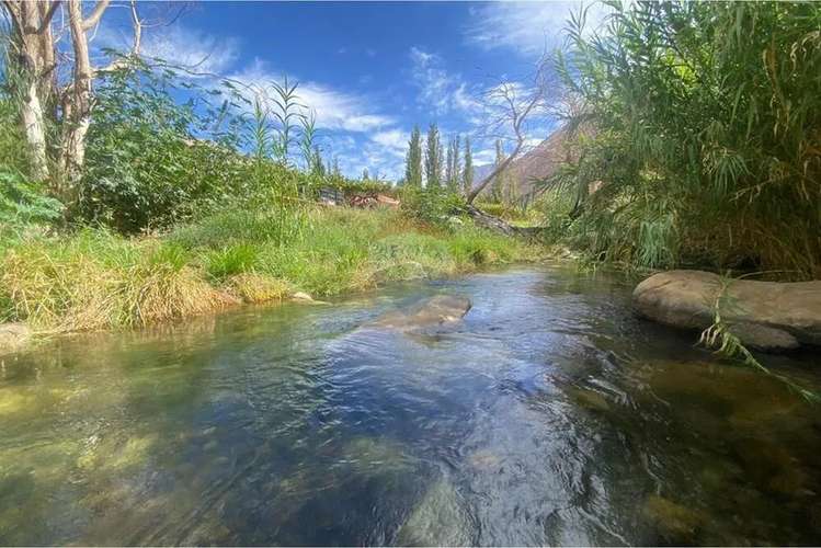 Gran Oportunidad De Inversión  Valle De Elqui