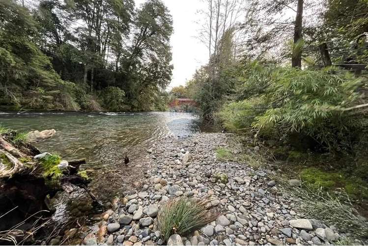 Se Vende Orilla De Rio Liucura. - Imagen 15