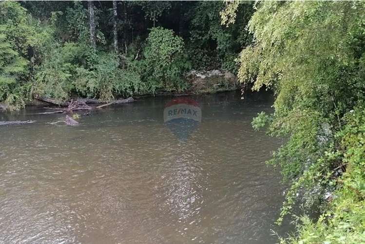 Se Vende Orilla De Rio Liucura. - Imagen 19