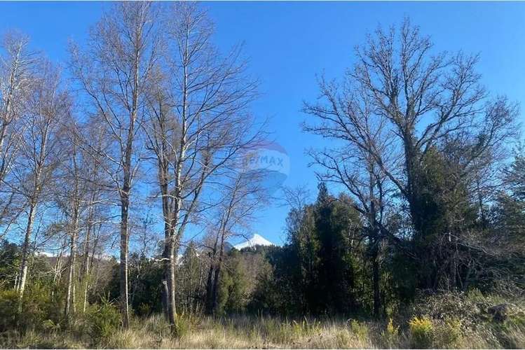 Vendo Parcela Con Orilla De Rio Y Vista Al Volcán