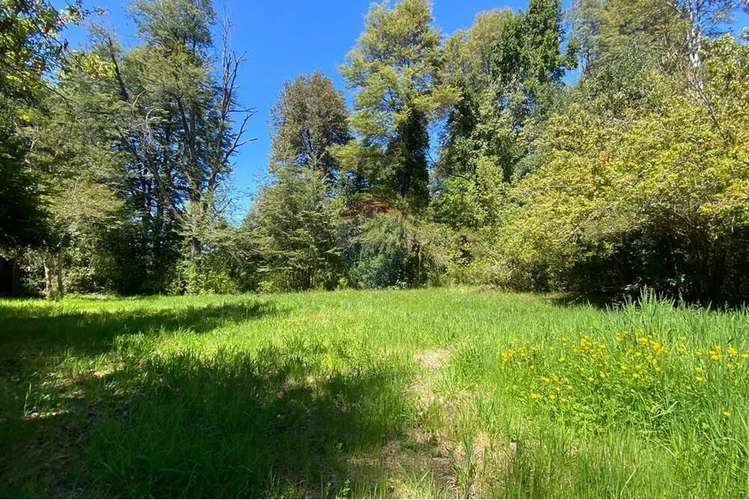 Venta Parcela Con Casa Amoblada En Caburgua - Imagen 20