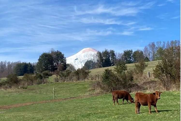 Parcela Con Vista Al Lago Y Al Volcán En Pucon