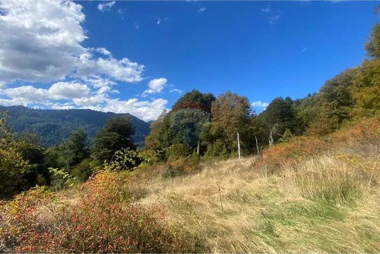Parcela En Venta Sector Llancalil Pucón