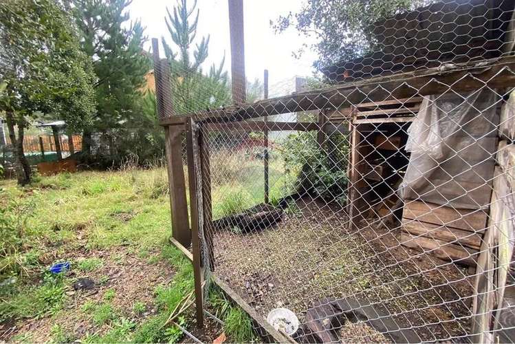 Venta Parcela 1.500 M² Con Cabaña 50 M² - Imagen 20