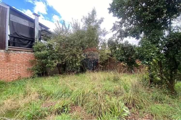 Venta Parcela 1.500 M² Con Cabaña 50 M² - Imagen 5