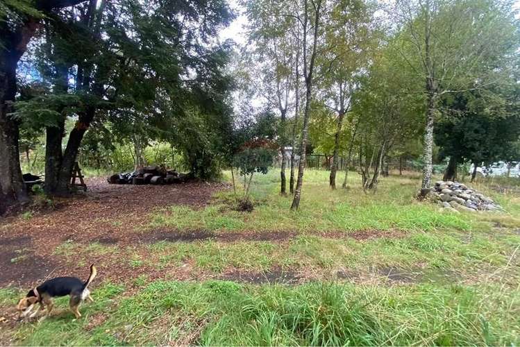 Venta Parcela 1.500 M² Con Cabaña 50 M² - Imagen 17