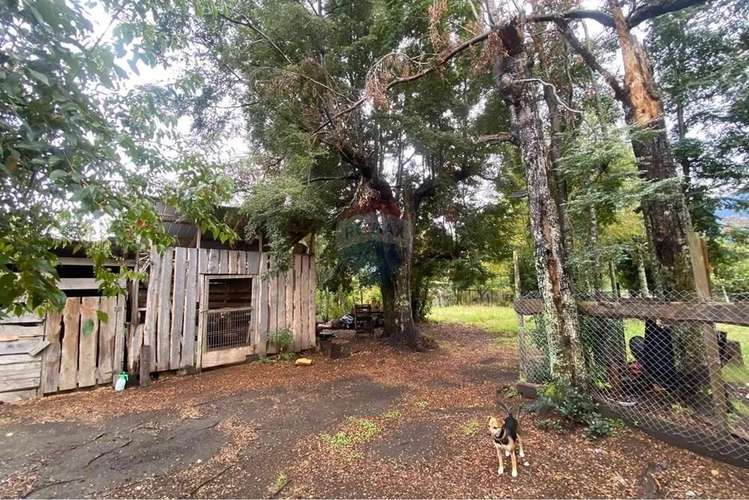 Venta Parcela 1.500 M² Con Cabaña 50 M² - Imagen 9