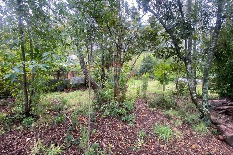 Venta Parcela 1.500 M² Con Cabaña 50 M² - Imagen 7
