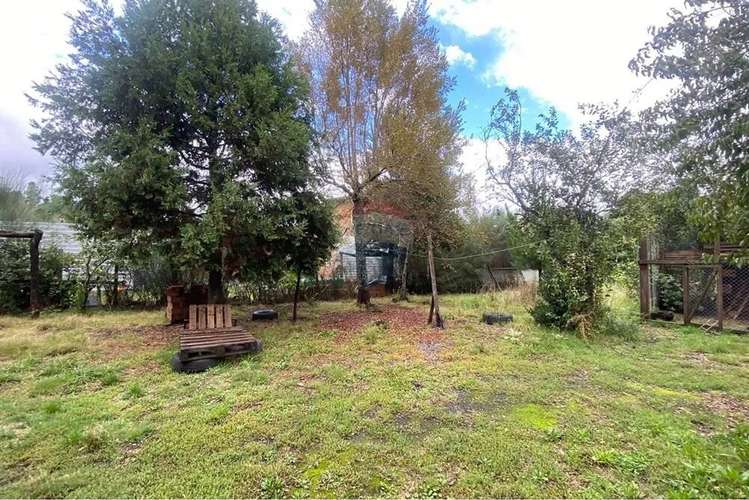 Venta Parcela 1.500 M² Con Cabaña 50 M² - Imagen 4