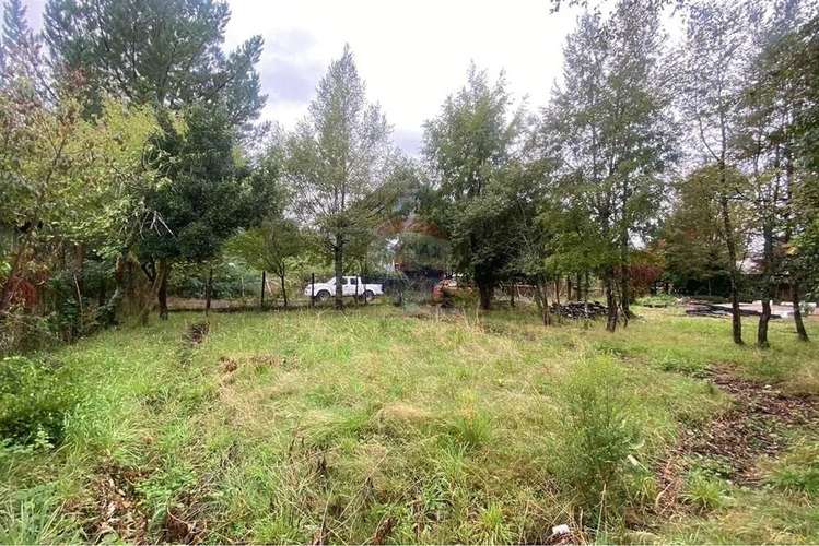 Venta Parcela 1.500 M² Con Cabaña 50 M² - Imagen 3