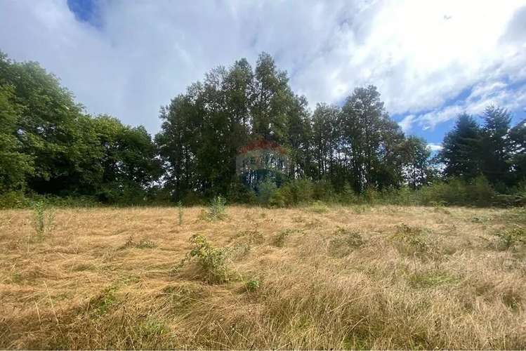 Venta Parcela Candelaria Pucón - Imagen 17