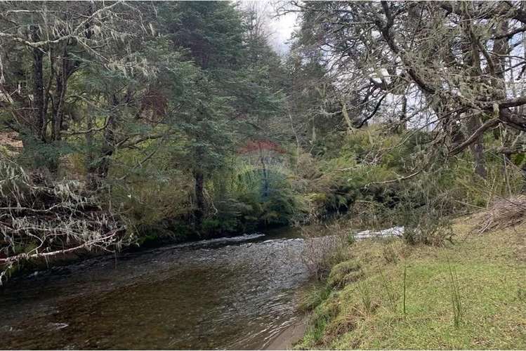 Parcela De 5,000 M2 En Curarrehue, Pucón - Imagen 8