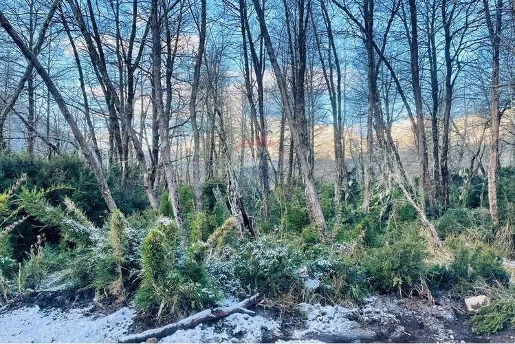 Parcela De 5,000 M2 En Curarrehue, Pucón - Imagen 11