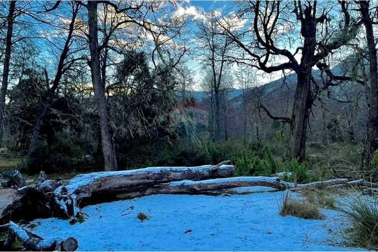 Parcela De 5,000 M2 En Curarrehue, Pucón - Imagen 2