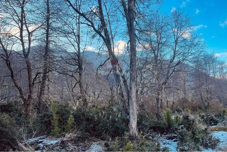 Parcela De 5,000 M2 En Curarrehue, Pucón - Imagen 9