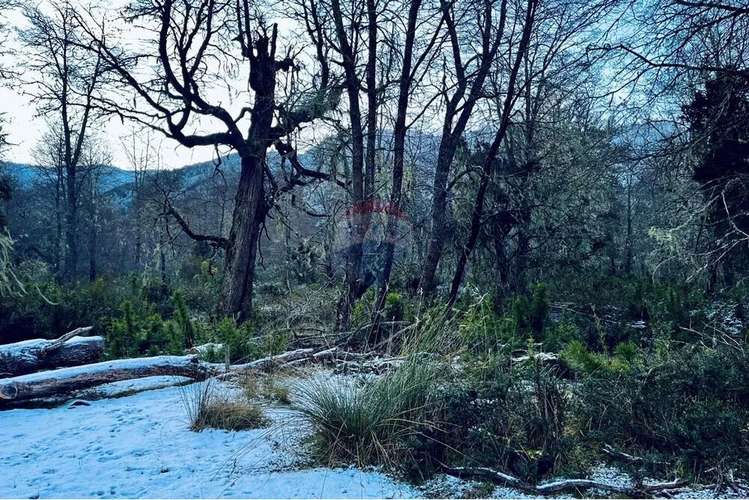 Parcela De 5,000 M2 En Curarrehue, Pucón - Imagen 16